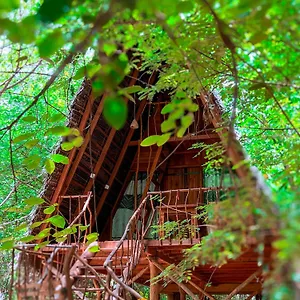 Tree House Ambasewana 哈伯勒内